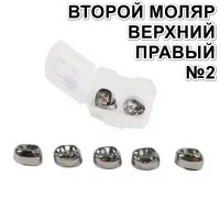 Коронки Kids CROWN EUR-2 из нержавеющей стали детские (5 шт)