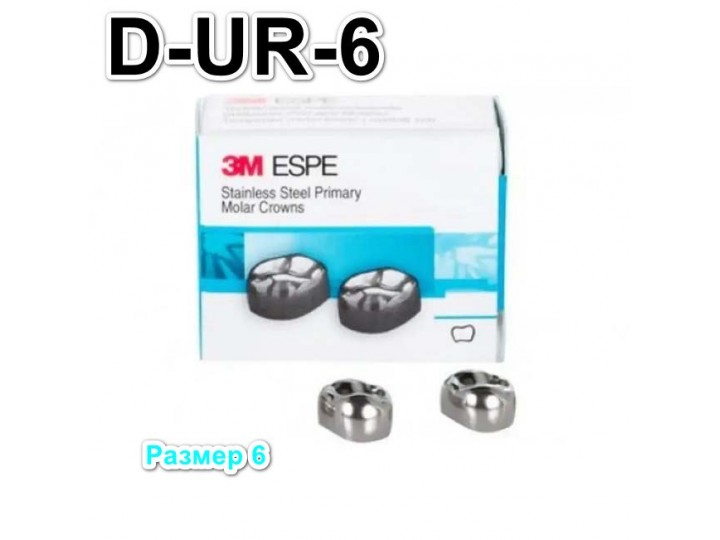 Коронки Stainless Steel Crowns первый верхний правый моляр, р-р6 D-UR-6, 2 шт.