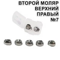 Коронки Kids CROWN EUR-7 из нержавеющей стали детские (5 шт)