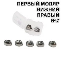 Коронки Kids CROWN DLR-7 из нержавеющей стали детские (5 шт)