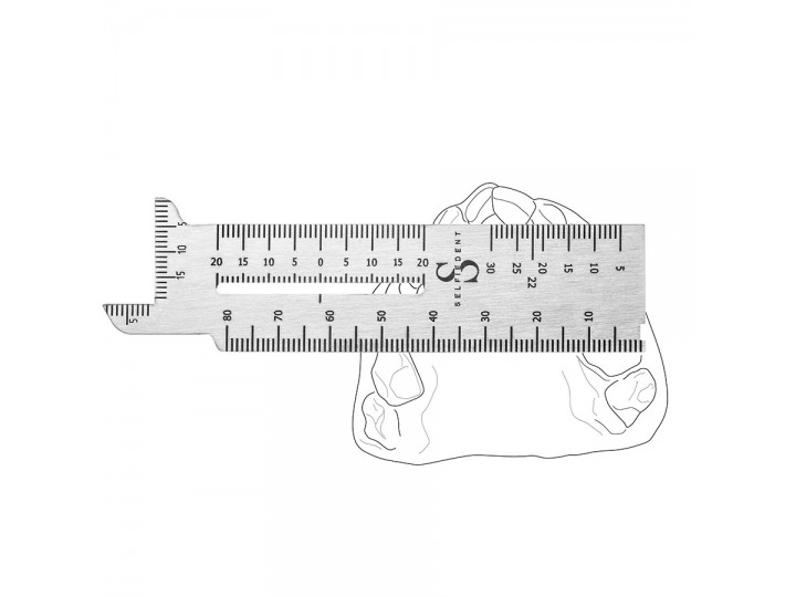 Линейка стоматологическая (ортодонтическая) ЛН.01