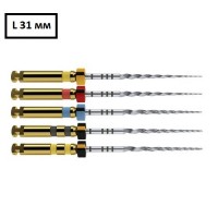 PROTAPER NEXT 31 ММ