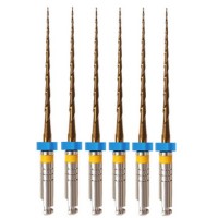 МультиТейпер Файлс - MultiTaper Files Gold L25 мм, WP21, EuroFile, 6 шт.