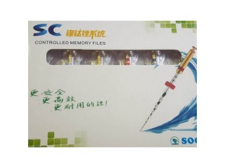 Файлы машинные с памятью формы SC L31 мм