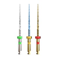 Файлы с памятью формы E-FLEX EDGE L25 мм Eighteeth