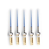 Т-Флекс - T-Flex 2%, L21 мм, никель-титан EuroFile 5 шт,