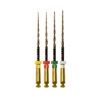 Набор ЕхасетФловШ - EXACTFlowH Files ASS длина 21 мм