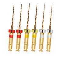 Детские файлы Kiddo Gold 16мм (6шт.) EuroFile