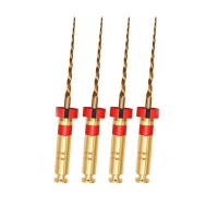 Детские файлы Kiddo Gold 16мм (4шт.) EuroFile