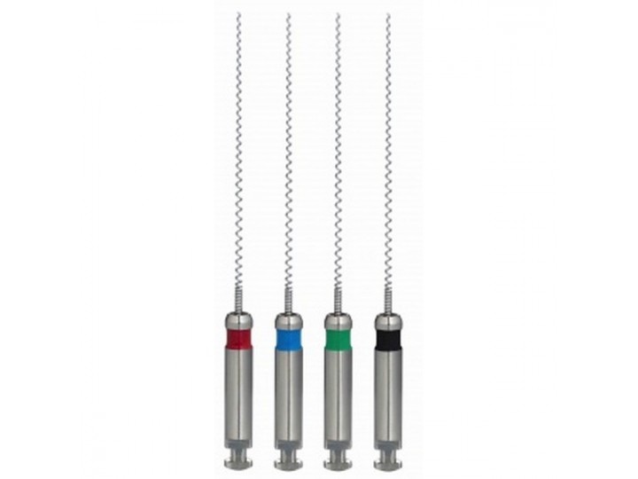 Каналонаполнители Paste Carriers L25 мм EuroFile