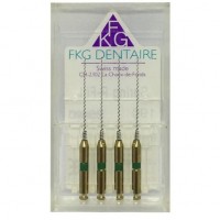 Каналонаполнители Spring Paste-Fillers L 21 мм