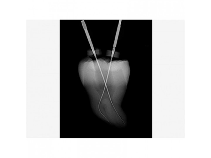 Три Авто ZX2 - Tri Auto ZX2