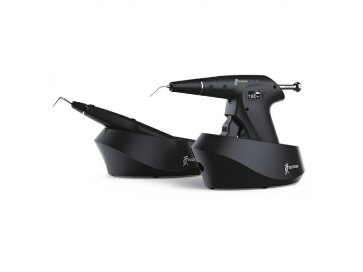 Комплект DTE Fi-G и DTE Fi-P - беспроводная система для трехмерной обтурации