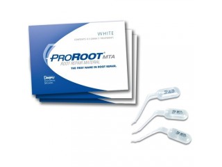 ПроРут МТА (1 пакетик 0,5 г.) - Pro Root MTA