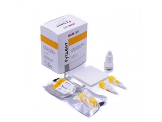 Рутдент порошок, обычный, 20х0,3 гр