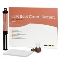 Корневой силер - Root Canal Sealer