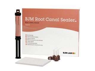 Корневой силер - Root Canal Sealer