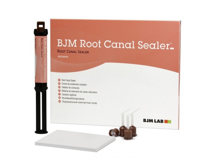 Корневой силер - Root Canal Sealer