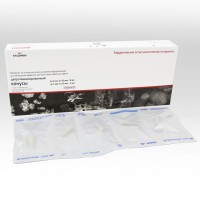 Биопласт-Дент депротеинизированный, конусы 2 вида