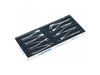 Набор щипцов для удаления зубов S0100-2