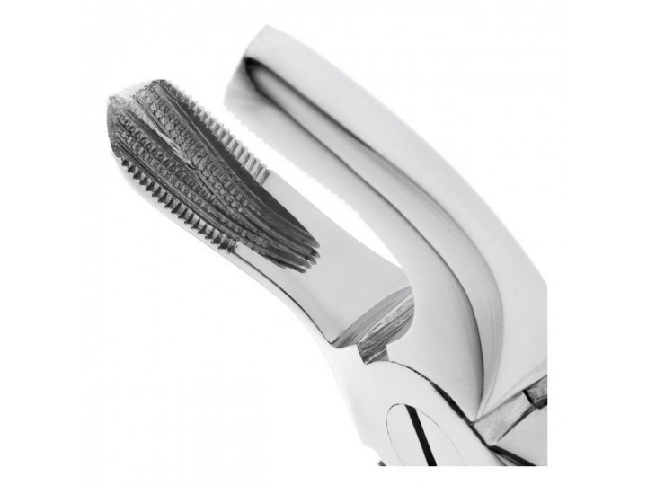 Щипцы для удаления зубов №17 верхние, моляры правые, NOPA PA 017/00