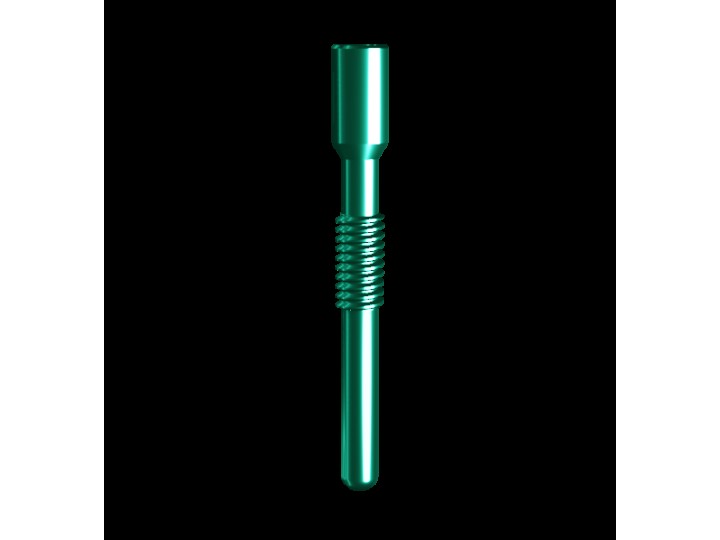 Винт-экстрактор (VER.2), совместим с Ankylos (1 шт) 02090