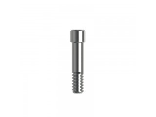 Винт, совместим с Ankylos (1 шт) 00248