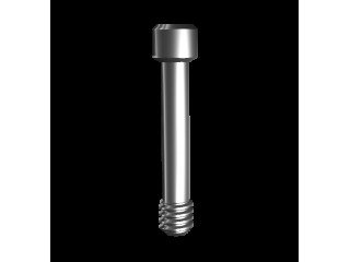 Винт (VER.2), совместим с Ankylos (1 шт) 02077