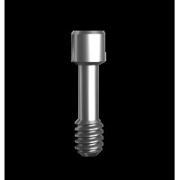 Винт для MUA угловых совместимых с В&B Dental 01906