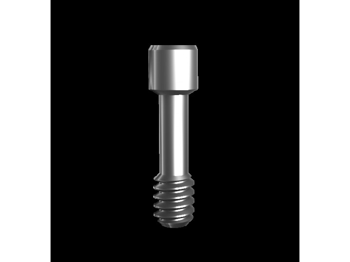 Винт для MUA угловых совместимых с В&B Dental 01906