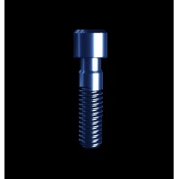 Винт лабораторный для дентального протеза/абатмента имплантата, совместим с B&B Dental 03885