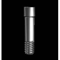 Винт, совместим с MegaGen AnyOne 01697