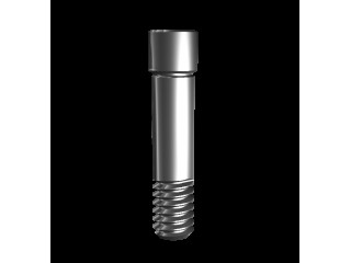 Винт, совместим с MegaGen AnyOne 01697