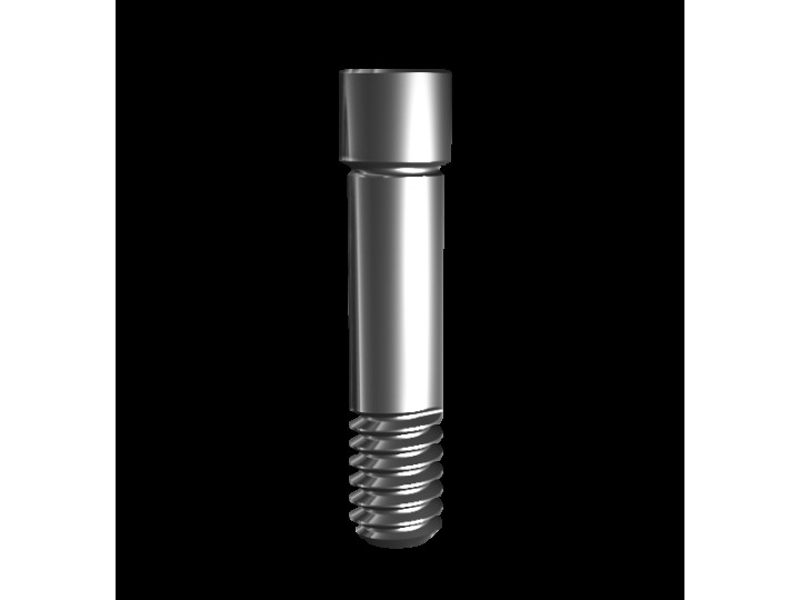 Винт, совместим с MegaGen AnyOne 01697