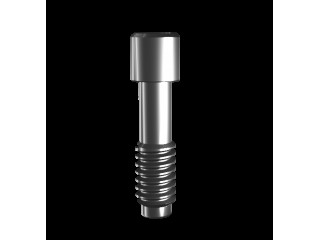 Винт, совместим с MegaGen AnyRidge 01193