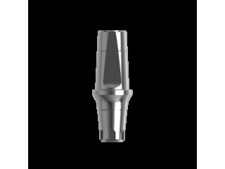 Абатмент титановый прямой, совместим с MIS C1 NP (2.0 мм), прилагаются 2 винта 00306