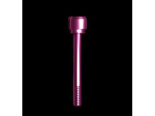 Винт для трансфера для закрытой ложки, 00547 (1шт)