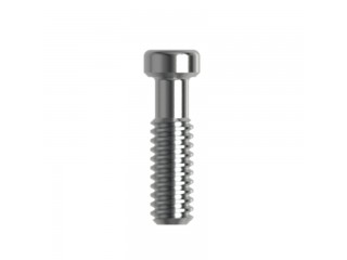 Винт для временных абатментов, совместим со Straumann SynOcta RN, WN (1шт)