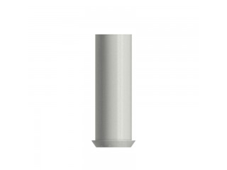 Абатмент пластиковый беззольный, совместим со Straumann SynOcta RN, с винтом (1шт)