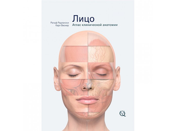 Лицо. Атлас клинической анатомии