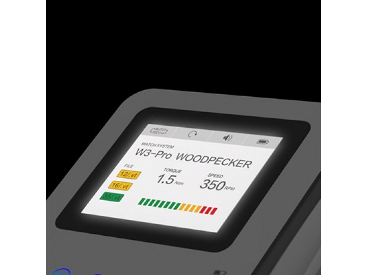 Эндо Радар - Endo Radar