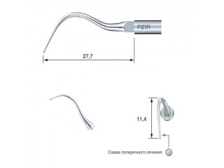 P21R-E - пародонтологическая насадка с правосторонним изгибом (для скалера EMS)