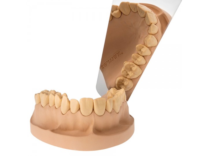 Набор зеркал для дентальной фотографии (2 шт), комплект №1
