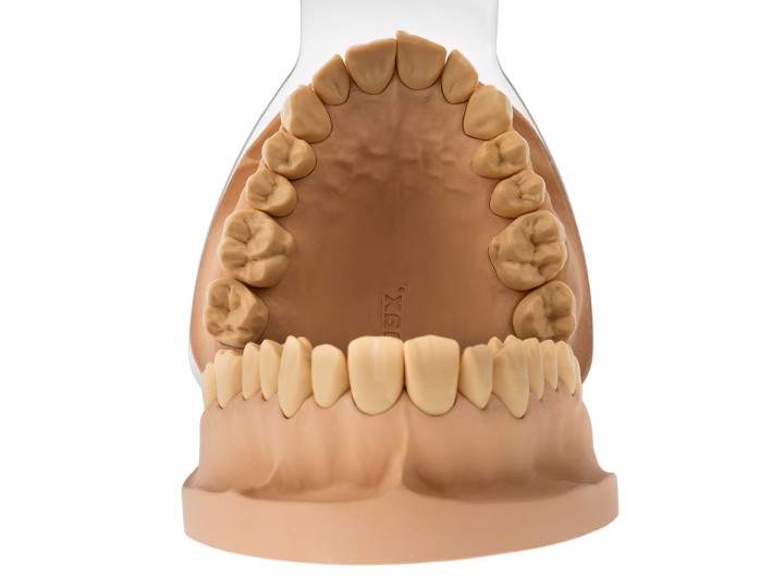 Зеркало внутриротовое Арт. 3Р.02