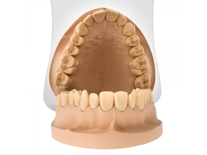 Зеркало внутриротовое Арт. 3Р.03