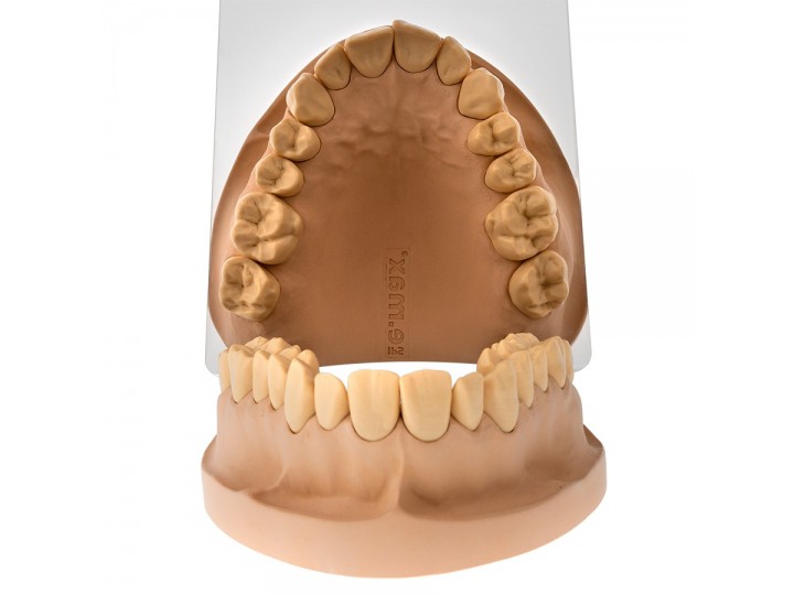 Набор зеркал для дентальной фотографии (2 шт), комплект №2