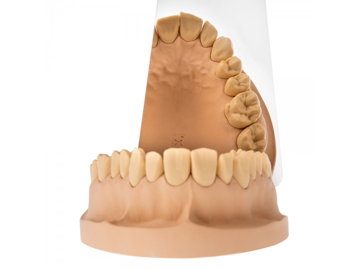 Зеркало внутриротовое Арт. 3Р.05