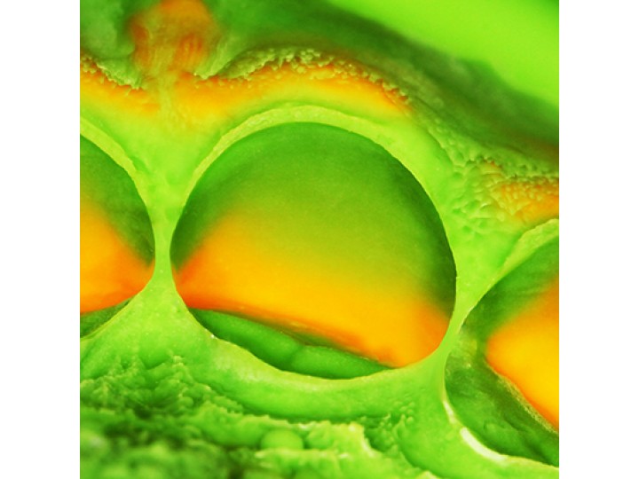 Элит Лайт фаст - Elite НD + Light Body Fast Set