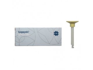 Полиры Энфорс Пин - Enforce Pin EP 32-2 40 шт.