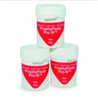 ProphyPaste PRO-N100